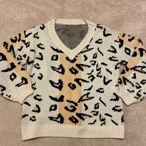 VNeck Leopard Sweater